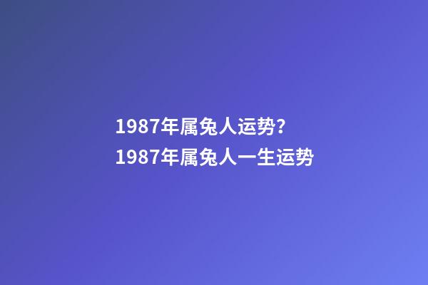 1987年属兔人运势？ 1987年属兔人一生运势-第1张-观点-玄机派